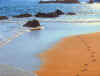 5FO footprints.jpg (27110 bytes)