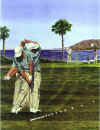 5GO golf.jpg (31315 bytes)