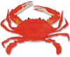 Copy of crab.jpg (10727 bytes)