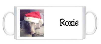 Copy of mug roxy.jpg (24267 bytes)