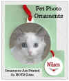 PET Ornaments -Cat