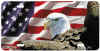 eagle_flag.jpg (5267 bytes)