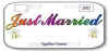 just_married2.JPG (3745 bytes)
