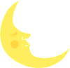 moon.gif (4987 bytes)